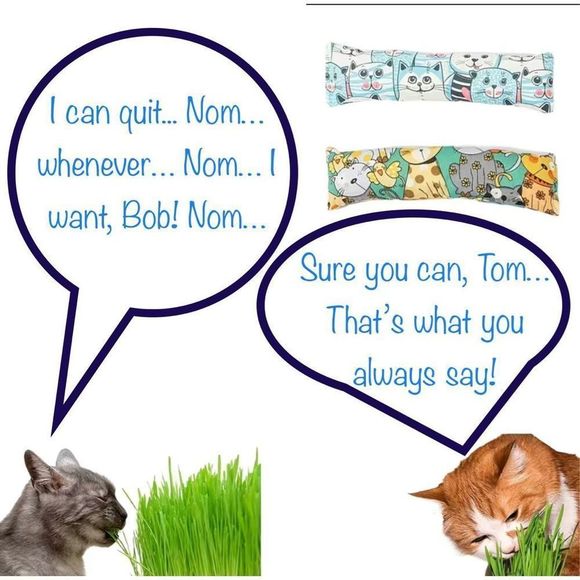 NEW Two Pack of Cute Cartoon Large Catnip Pillow Cat Toys — NWT - Picture 4 of 9